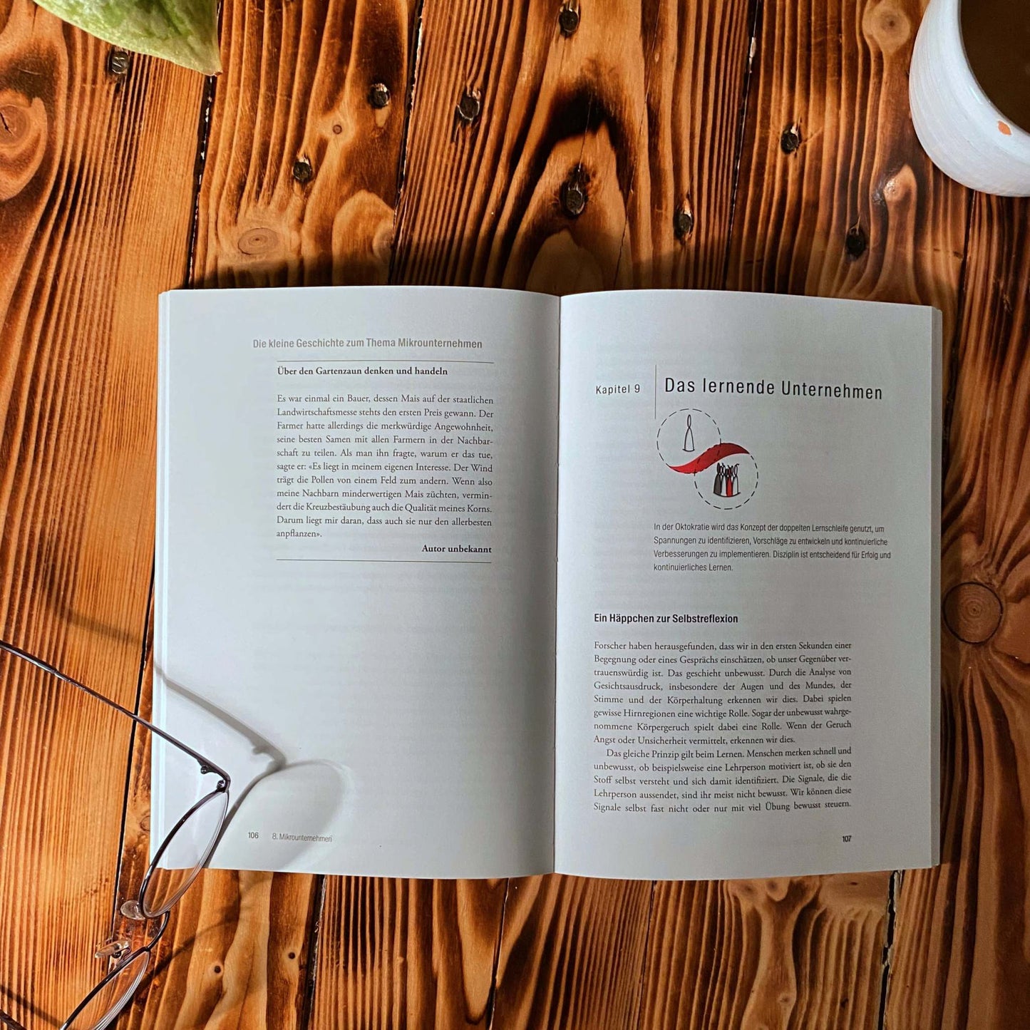 Buch: Oktokratie - für sinnvolle, wirksame Zusammenarbeit (Taschenbuch)